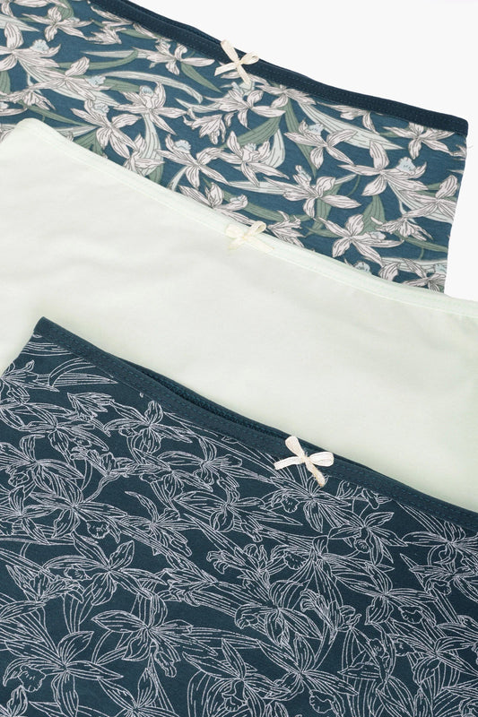 مجموعة من 3 سراويل داخلية كاملة ملونة