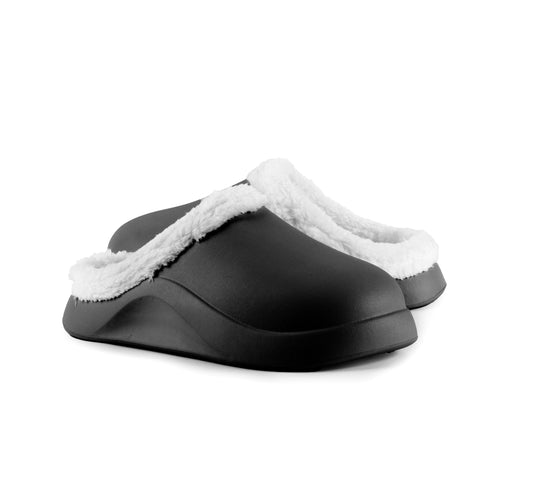 الشرائح الضخمة