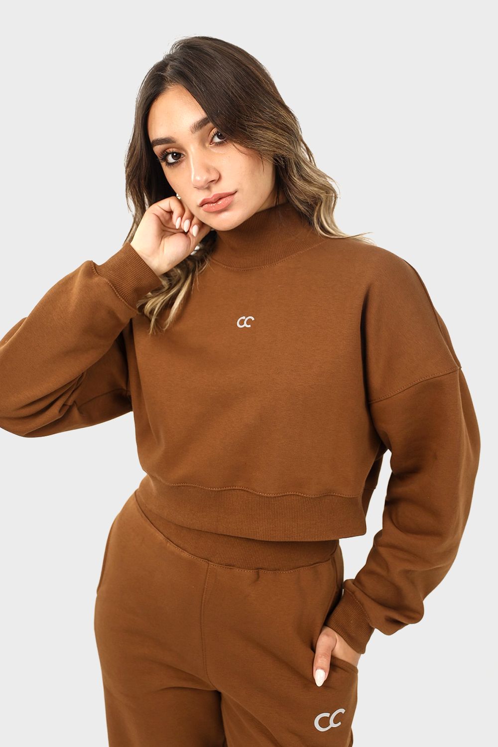 High Neck Crop Sweatshirt - سويت شيرت قصير برقبة عالية