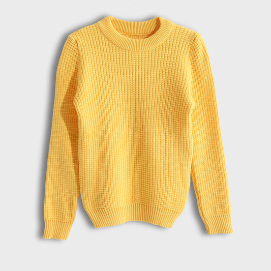 Pullover Round Neck Plain Biscuit - بلوفر بياقة دائرية وطبعة بسكويت سادة
