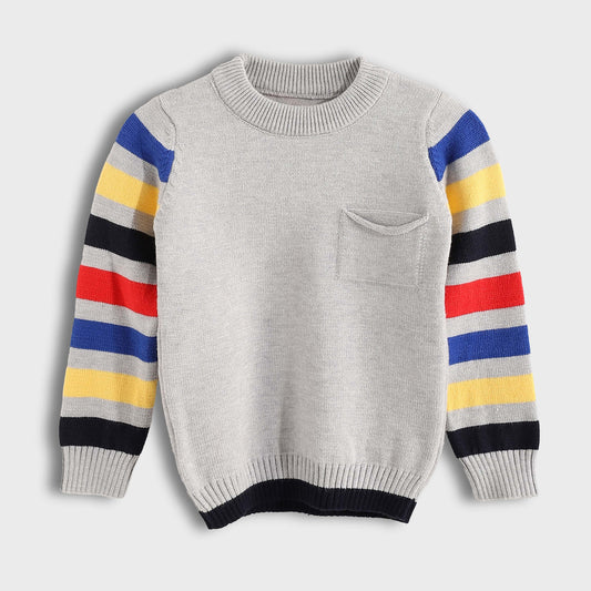 Long Sleeve Pullover - بلوفر بأكمام طويلة