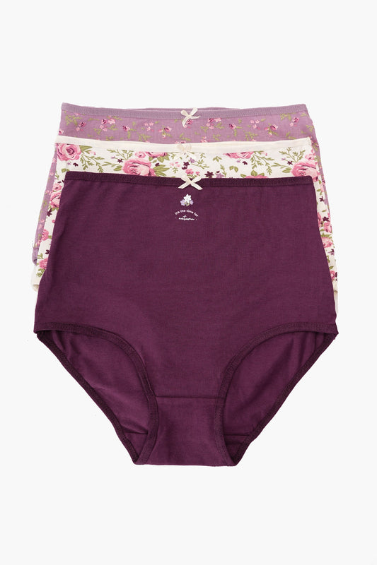 مجموعة من 3 سراويل داخلية كاملة ملونة