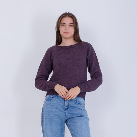 بلوفر سادة محبوك ذو ارتفاع عالي باللون الأرجواني الداكن