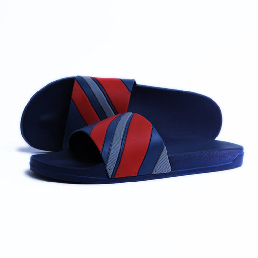 شرائح دييغو