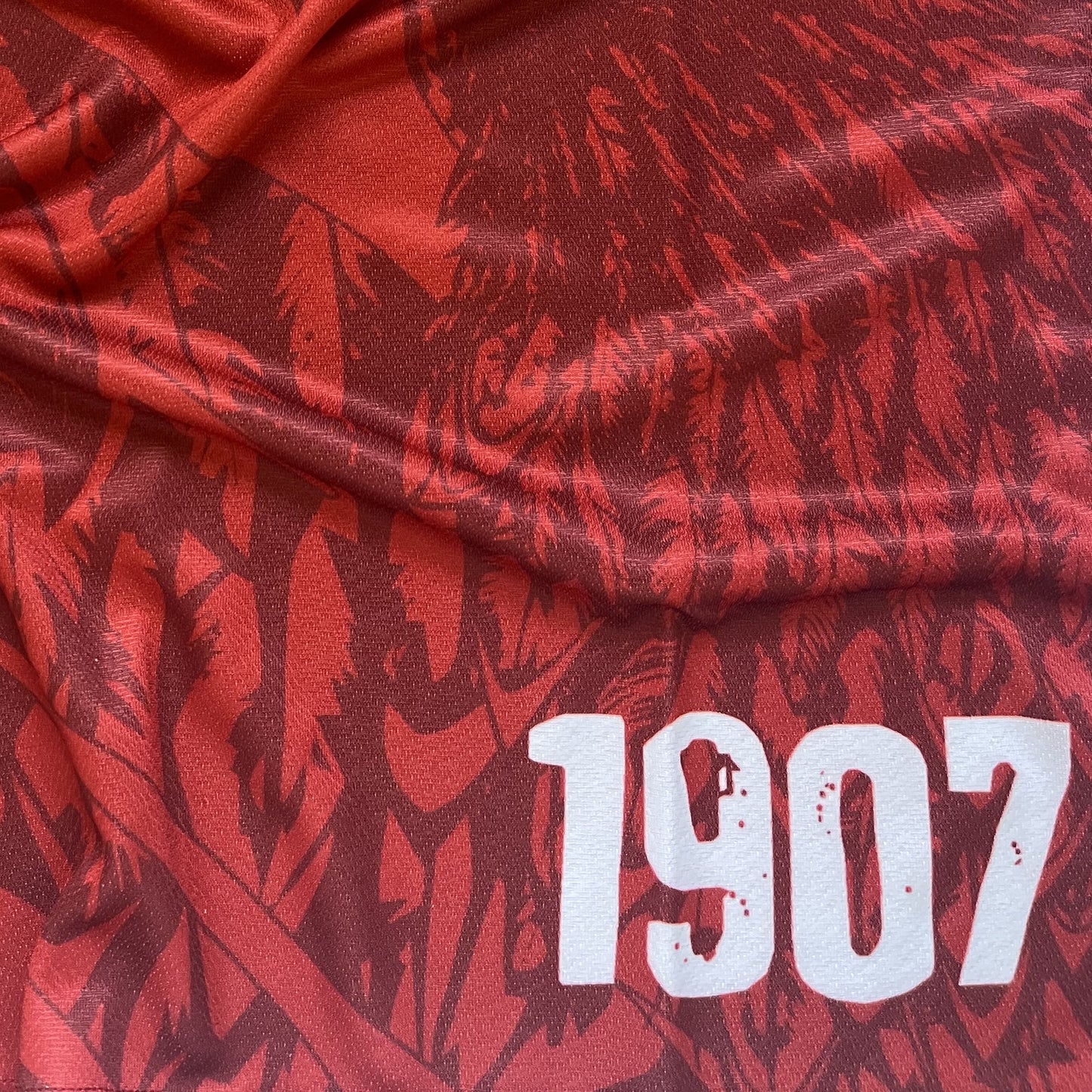 Viga Alahly Soccer T-Shirt for Boys - تيشيرت فيجا الأهلي لكرة القدم للأولاد