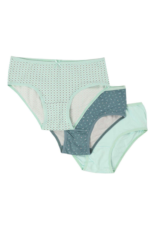 Pack of 3 Colored Brief Panties - Carina - ??’????????ñ??�ÿ??ƒ?ÿ????