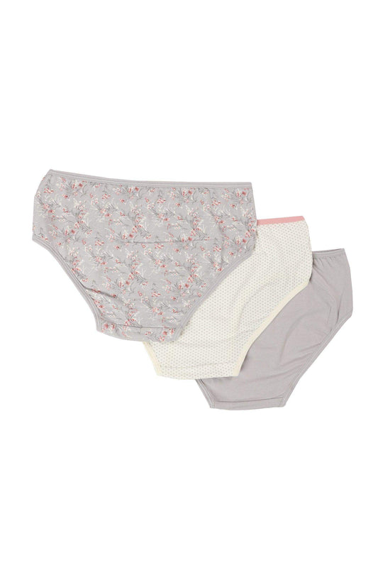 Pack of 3 Colored Brief Panties - Carina - ??’????????ñ??�ÿ??ƒ?ÿ????