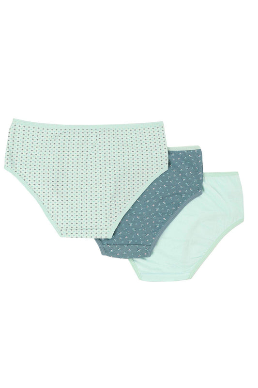 Pack of 3 Colored Brief Panties - Carina - ??’????????ñ??�ÿ??ƒ?ÿ????