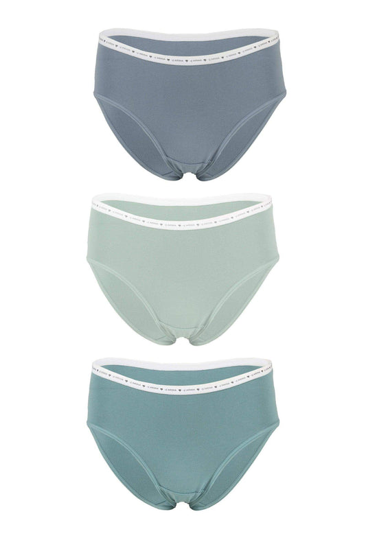 Pack of 3 Plain Brief Panties - Carina - ??’????????ñ??�ÿ??ƒ?ÿ????