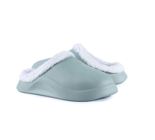 الشرائح الضخمة