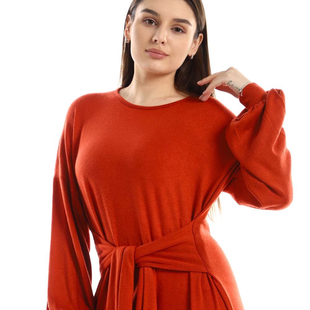 Balloon Long Sleeves Plain Dress