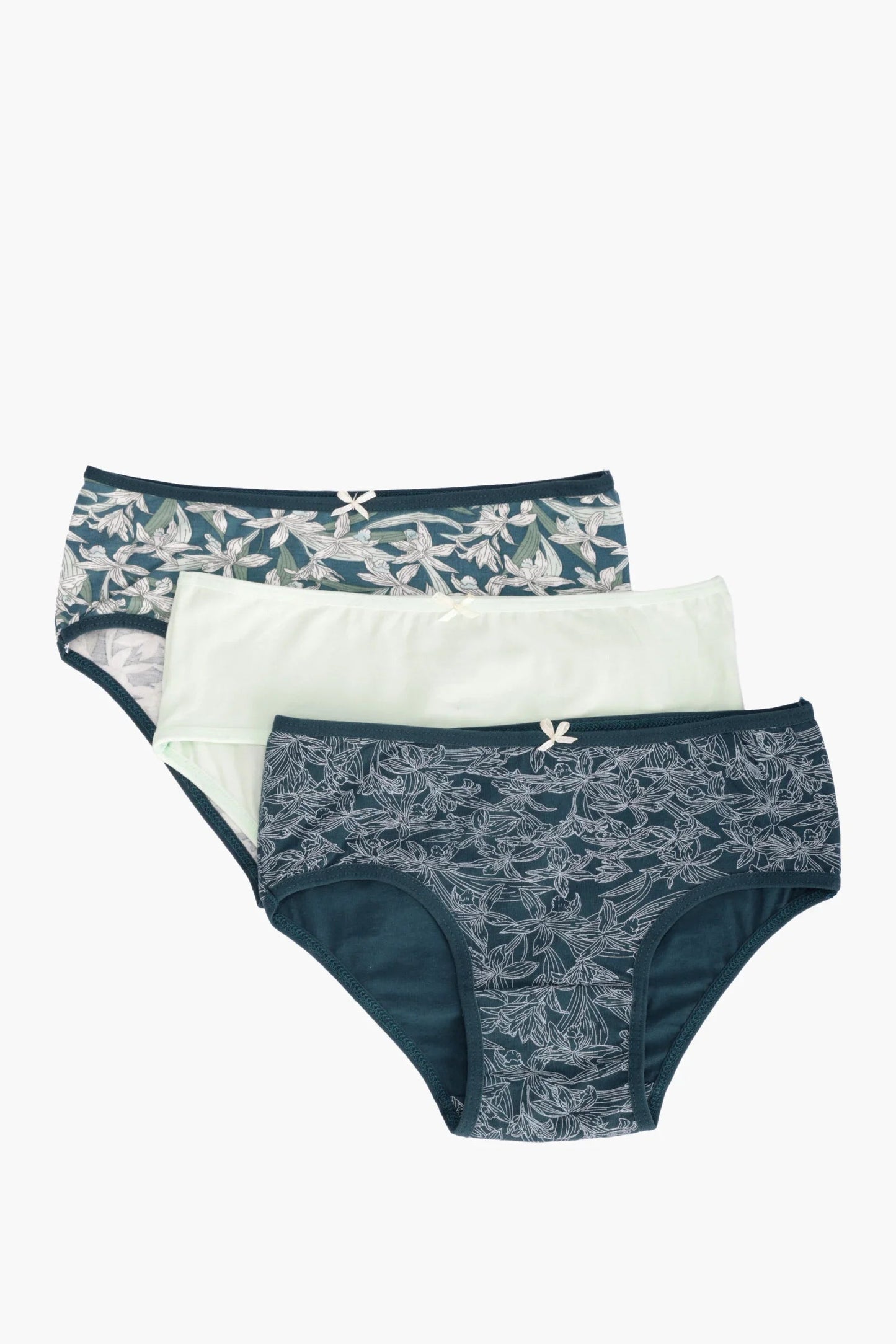 Pack of 3 Colored Brief Panties