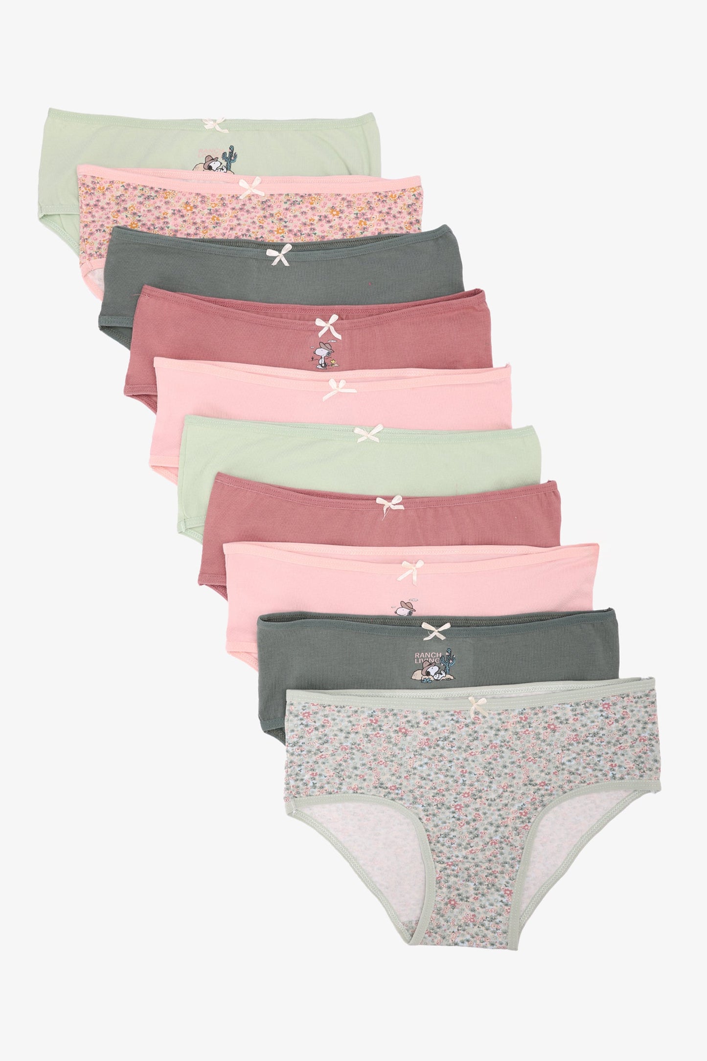 Pack of 10 Colored Brief Panties