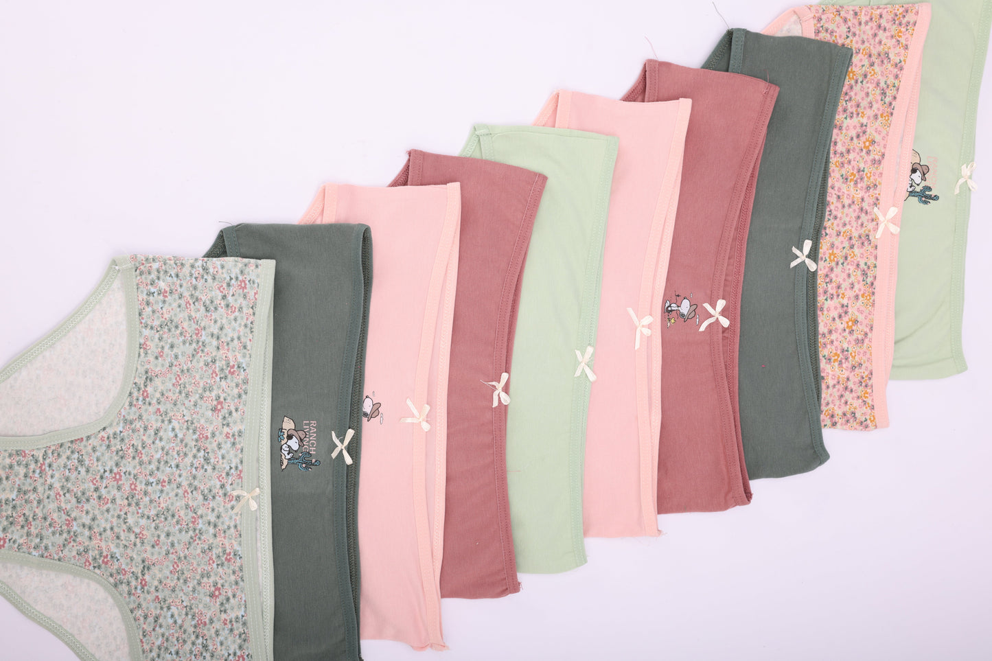 Pack of 10 Colored Brief Panties