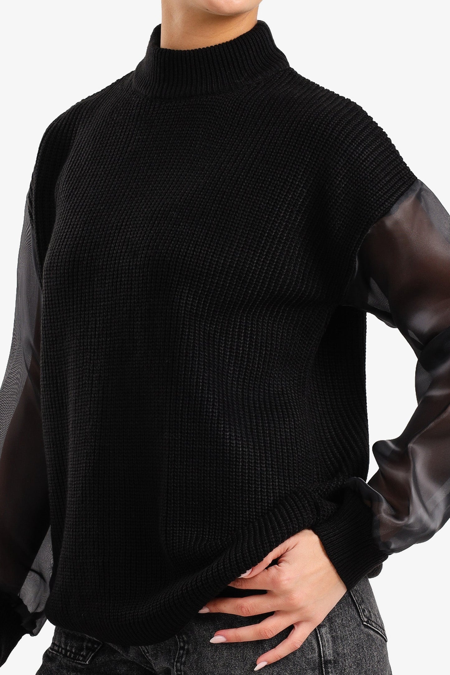 Sheer Sleeve Pullover