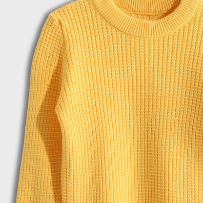 Pullover Round Neck Plain Biscuit - بلوفر بياقة دائرية وطبعة بسكويت سادة