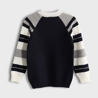 Crew Pullover Neck Pullover - بلوفر برقبة دائرية