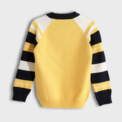 Crew Pullover Neck Pullover - بلوفر برقبة دائرية