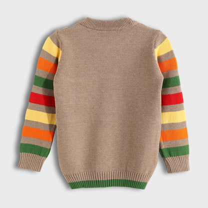 Long Sleeve Pullover - بلوفر بأكمام طويلة