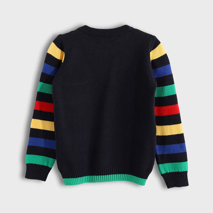 Long Sleeve Pullover - بلوفر بأكمام طويلة