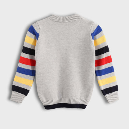 Long Sleeve Pullover - بلوفر بأكمام طويلة