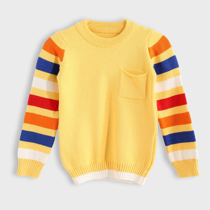 Long Sleeve Pullover - بلوفر بأكمام طويلة