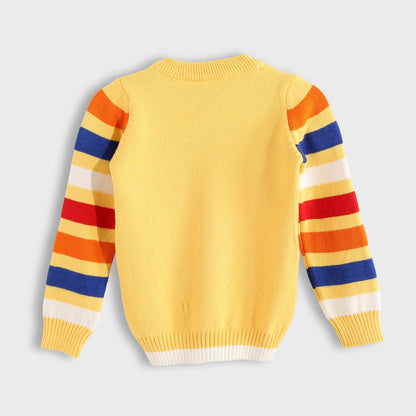 Long Sleeve Pullover - بلوفر بأكمام طويلة