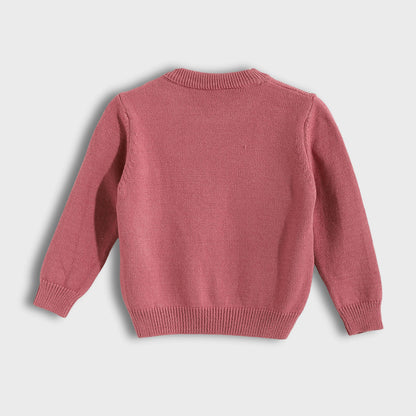 Bundle of 3 Solid Round Neck Pullover for Babies