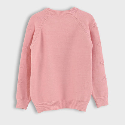 Girls Long Sleeve Pullover & Pants Set