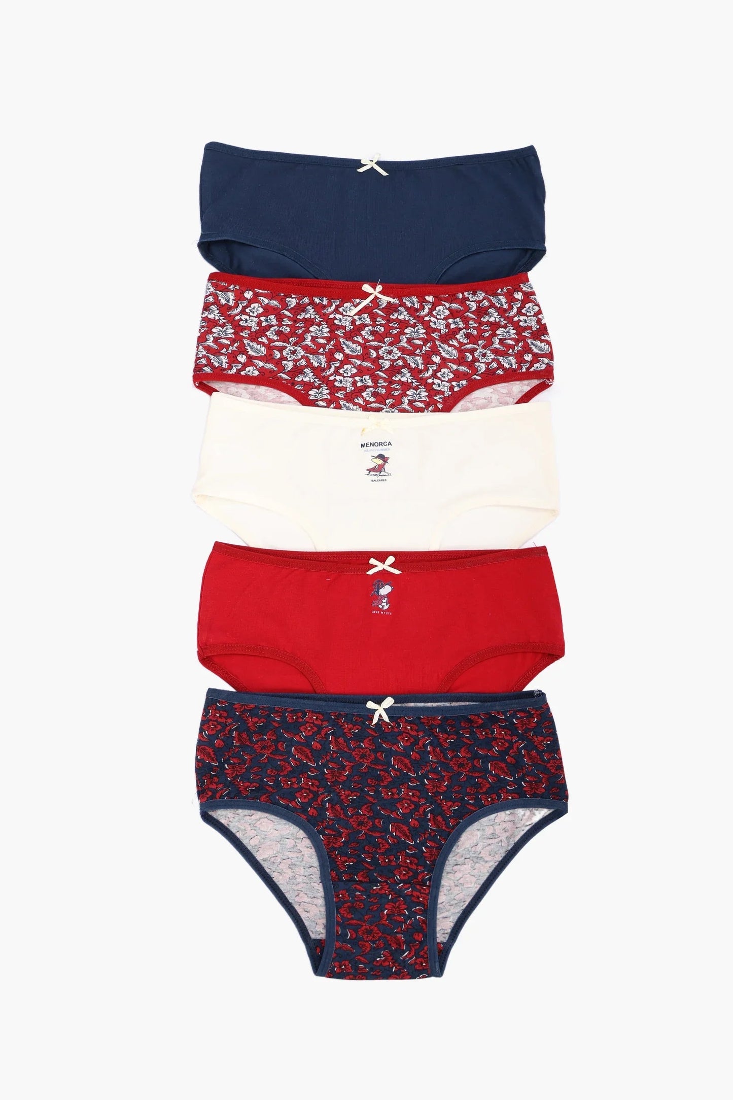 Pack of 5 Colored Brief Panties