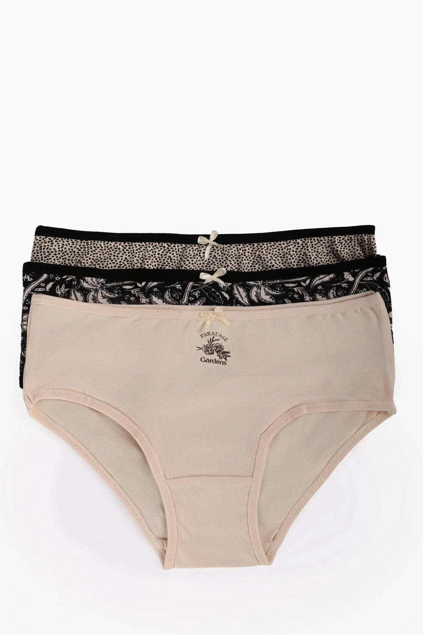 Pack of 3 Colored Brief Panties