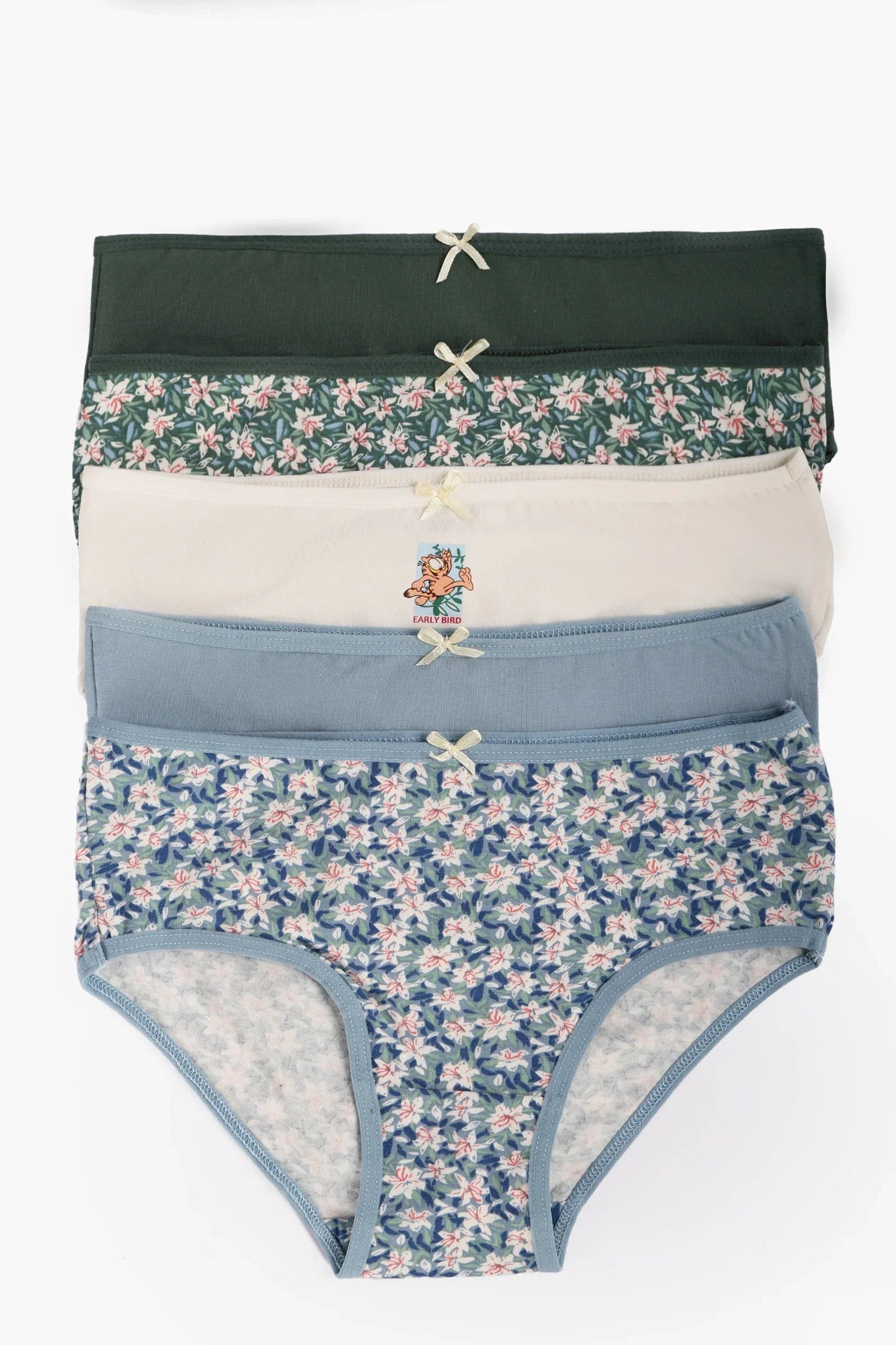 Pack of 5 Colored Brief Panties