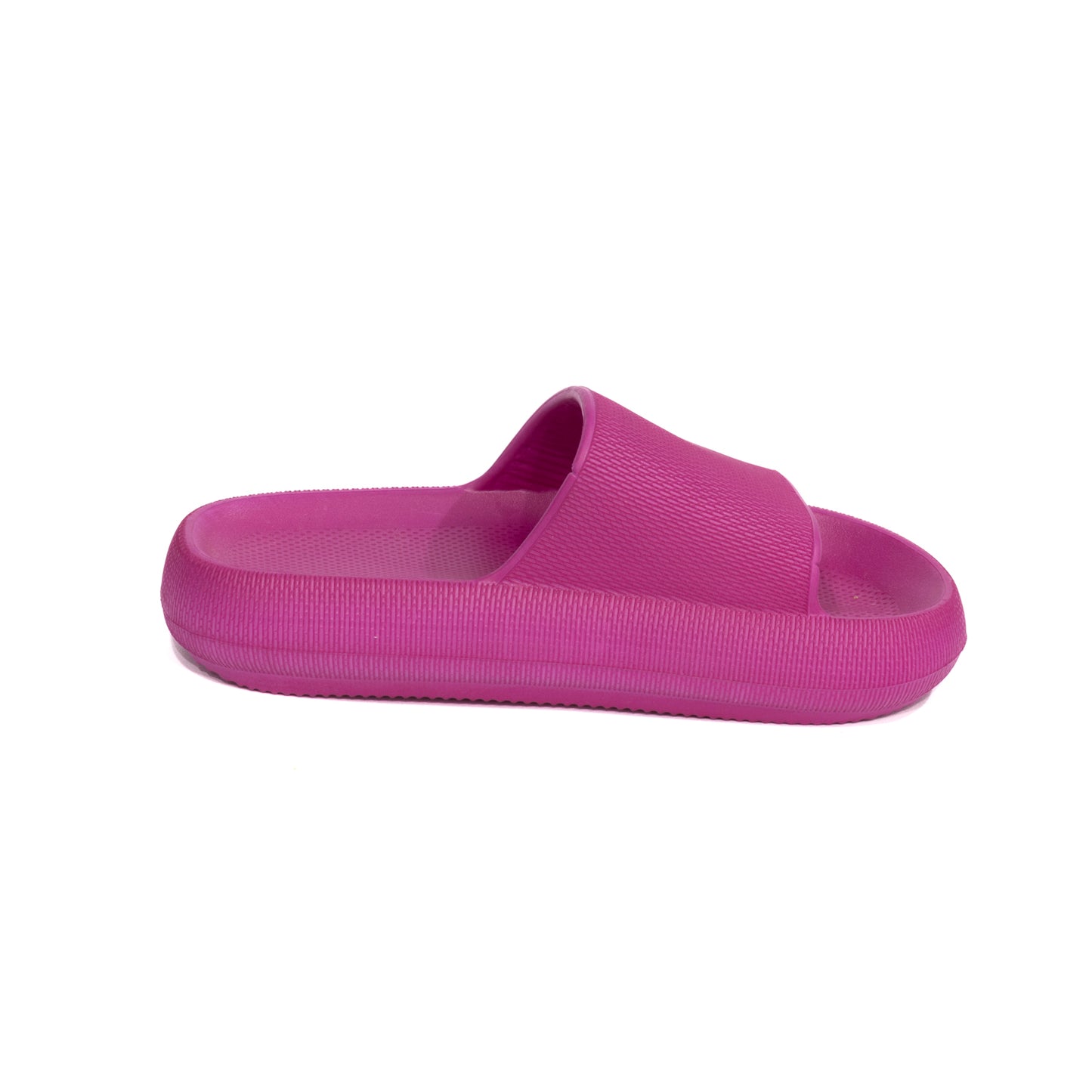 Uni Pamp Slides