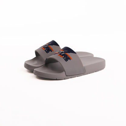 Disney Future Slides