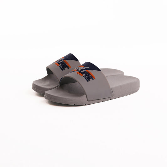 Disney Future Slides