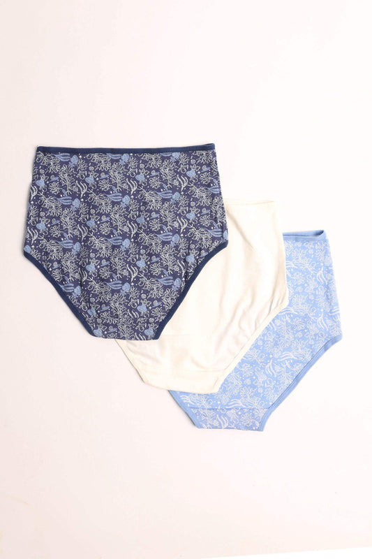 Carina Pack of 3 Colored Full Brief Panties