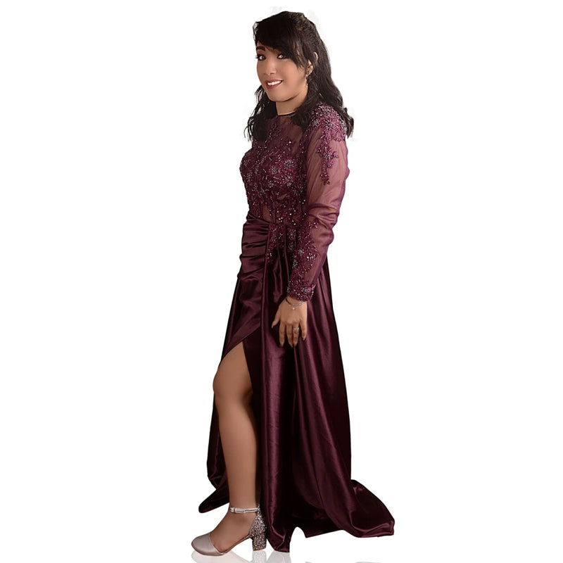 Soiree Classy Long Sleeves Embroidered Dress