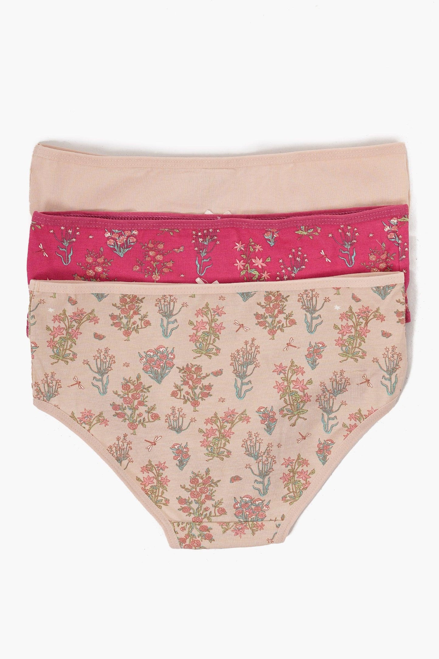 Pack of 3 Colored Brief Panties