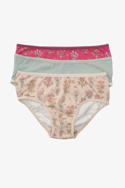 Carina Pack of 3 Colored Brief Panties