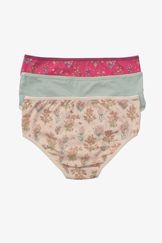 Carina Pack of 3 Colored Brief Panties