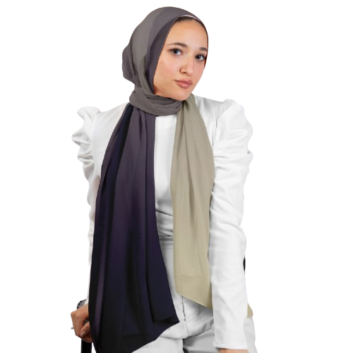 Beige Gradient Chiffon Crepe Scarf