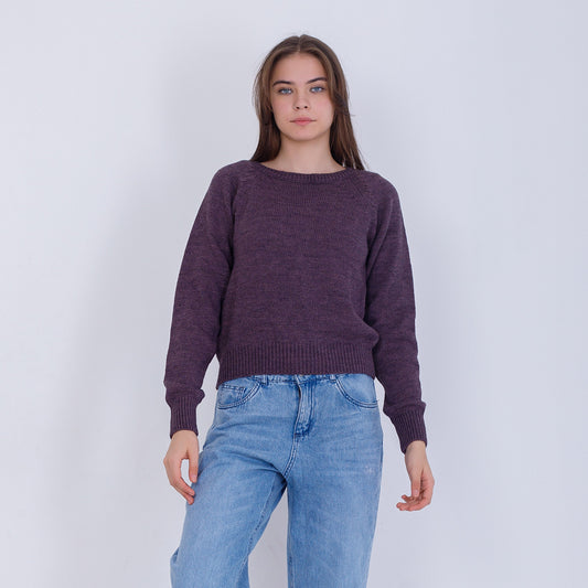 Dark Purple High Hip Knitted Plain Pullover