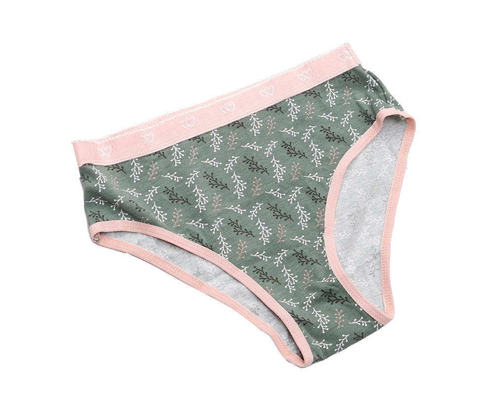 Pack of 3 Colored Brief Panties