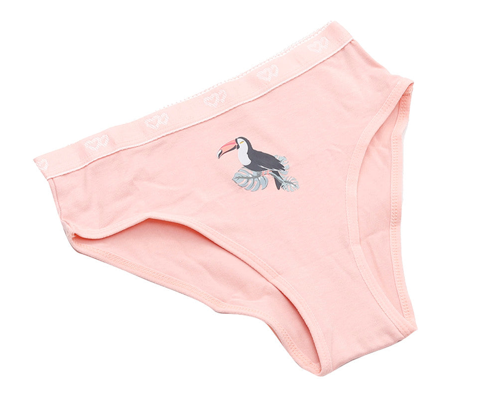 Pack of 3 Colored Brief Panties