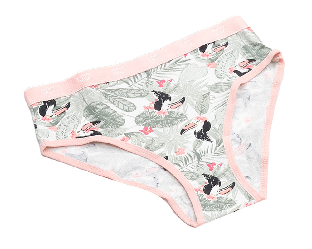 Pack of 3 Colored Brief Panties