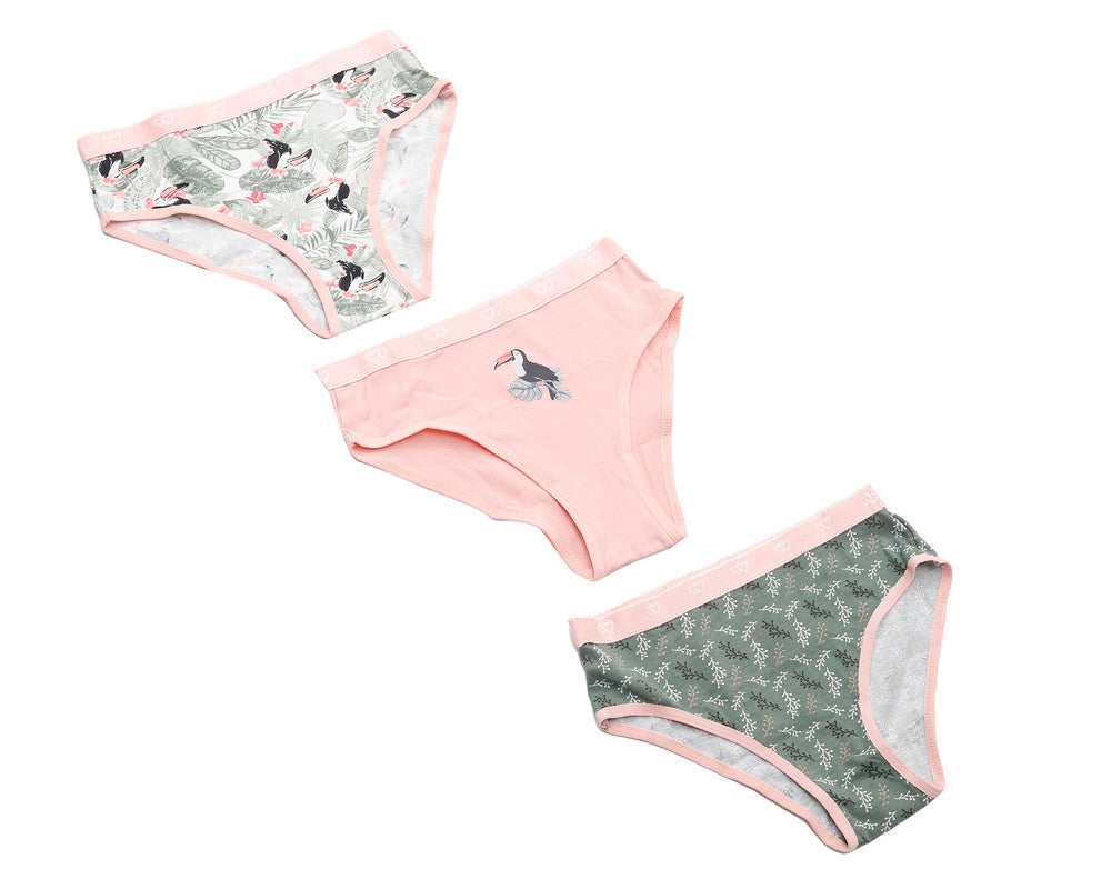 Pack of 3 Colored Brief Panties