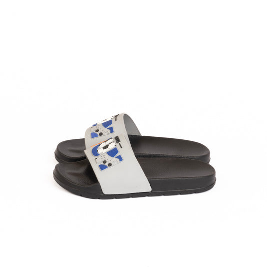Disney Fun Slides