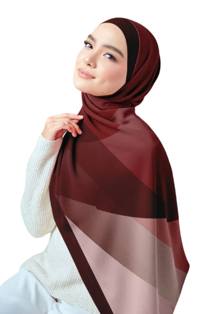 Bi-Tone Chiffon Scarf