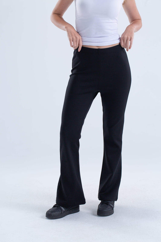 Carina Elegant Flared Pants