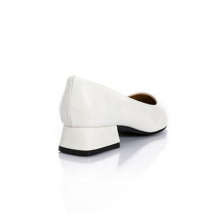 Pointed Toe Wide Heel Shoes